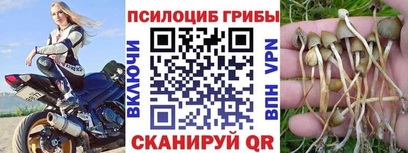 закладки  Усолье  Галлюциногенные грибы Psilocybine cubensis 